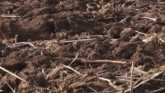 Iron Talk - Spring Soil Sampling