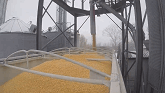 A trip to the Ethanol Plant 2019