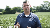 Recommending Acapela for your next soybean crop 