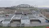 Smart feeding works
