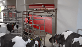 Lely Astronaut A5 - The art of milking
