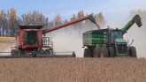 Soybean Farmers Focus on Rural Infras...