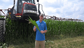 Maizex Moving - Applying Foliar Fungicide on Corn