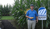 Is 1,000 Kernel Wt. the Next Key to Even Higher Yields?