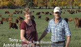 Beef Farmers in Ontario Rely on Bluep...
