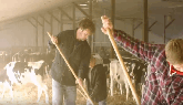 Dairy Farmers Of Ontario – Andre’s Family Farm, Tillsonburg, Ontario