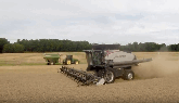 Wheat Harvest 2019 - Leonard Farms