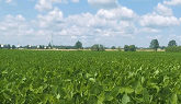 AgriLand visits Cribit Seeds in Ontario
