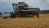 JJnS Farms Summer 2019 Wheat Harvest Video - Gleaner Combines