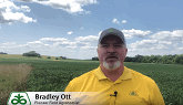 Soybean Staging for Fungicides
