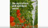 Agri-Food Success