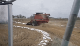 Desperate times... wheat and snow harvesting.