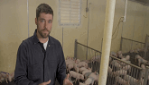 Swine Training –Nursery Pig Care (with subtitles)