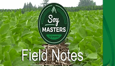 Soy Masters - Inoculant Key to Soybean Success