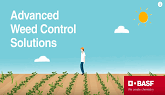 BASF  Advanced Weed Control - Herbicide Layering Solution