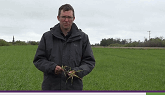See how Axial delivers powerful and flexible weed control