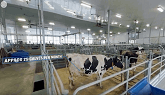 Ontario Dairy Research Centre 360: Maternity and Special Needs