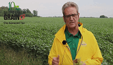2019 Crop Assessment Tour - Week Two Observations Corn and Soybeans