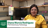 Diana Murcia - International PhD student - Veterinary Pathology at the University of Saskatchewan