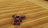 Wheat Harvest 2019 - Rain Delay?