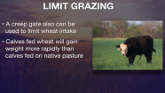 The Benefits of Limit Grazing
