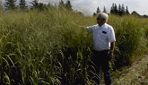 Ontario Switchgrass Field Day Interview with Don Nott