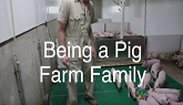Being a Pig Farm Family