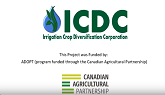 2019 ICDC R&D: Irrigated Grain Corn