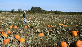 Willowbank U-Pick Farm | Port Williams | Nova Scotia