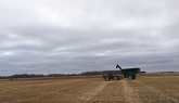 Swathed Wheat Harvest 2019 in Saskatchewan