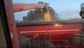 Wrapping up Soybean Harvest 2019