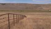 NRCS Helps Cattle Producers Manage Their Land and Water