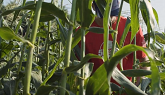 Pesticide Safety on the Farm Know the...