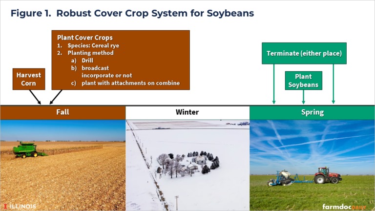 Integrating cover crops on Illinois fields presents challenges as cover crops typically involve significant system changes. The following system emerges as a standard for soybeans as the next crop (see Figure 1):
