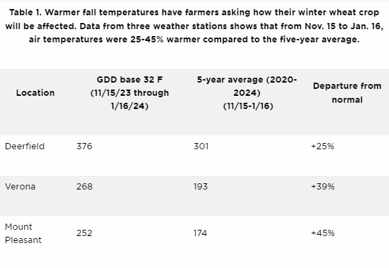 Warmer fall temperatures have farmers asking how their winter wheat crop will be affected. Data from three weather stations shows that from Nov. 15 to Jan. 16, air temperatures were 25-45% warmer compared to the five-year average.