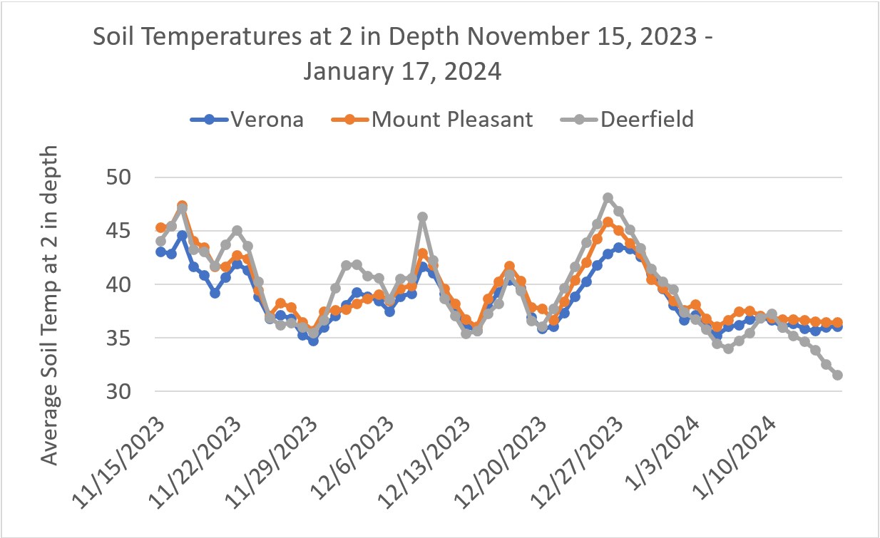 Figure 1. Soil temperatures from Nov. 15 to Jan. 16 for three locations in Michigan. Soil temperatures have approached 48 F three times but have steadily declined since Dec. 27.