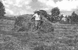 The History of the Development of the Large Round Bale