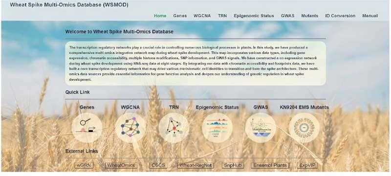 The wheat spike development multi-omics database (WSMOD).