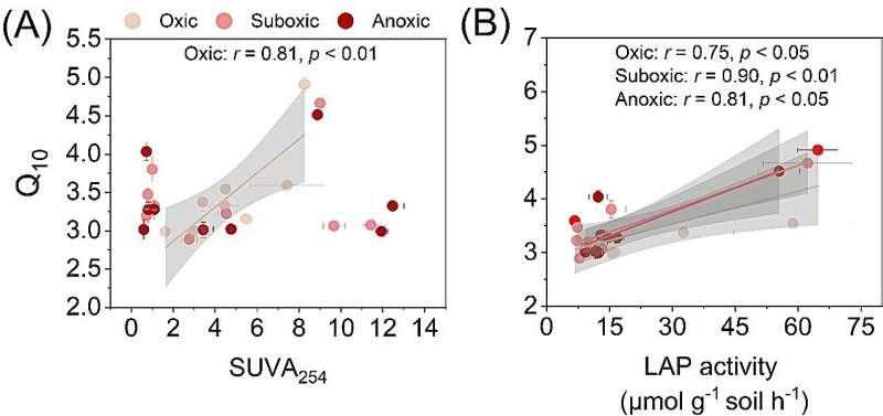 Professor Xiaojuan Feng, the corresponding author of the study, said, "We used incubated soils at varying temperatures to calculate Q10. 