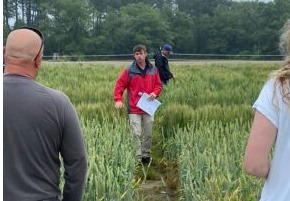 Richard Boyles, head of the Cereal Grains Breeding and Genetics Program at the Pee Dee REC, talks about evaluating wheat lines developed at Clemson to determine which ones are best suited for South Carolina.