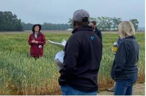Christina Cowger, USDA research plant pathologist, talks about managing powdery mildew, Fusarium head blight (scab) and rust diseases on wheat.