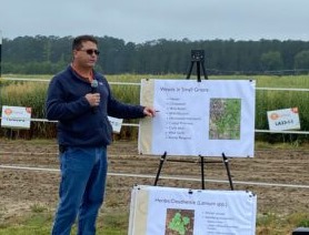 Michael Marshall, Clemson Extension weed scientist, talks about managing weeds in small grains.