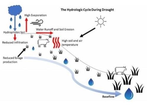 Impacts of Drought on Soil, Water, Forage and Livestock Grazing Systems