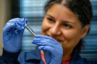 Adela Chavez, Ph.D., is expanding her tick research to seek a vaccine to treat cattle infected by cattle fever ticks.  