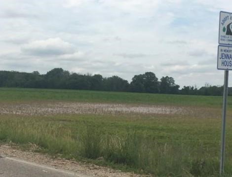Managing Corn And Soybean Fields Submerged By Recent, Heavy Rains