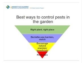 Using Pesticides the IPM Way