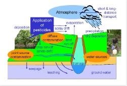 Using Pesticides the IPM Way