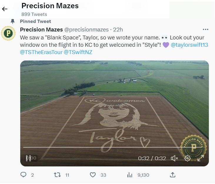 Photo of Taylor Swift likeness in wheat stubble created by Precision Mazes