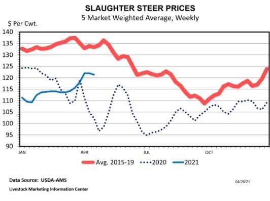 steer prices