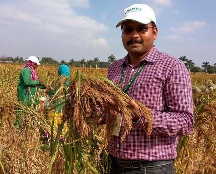 The Big Potential of Little Millet